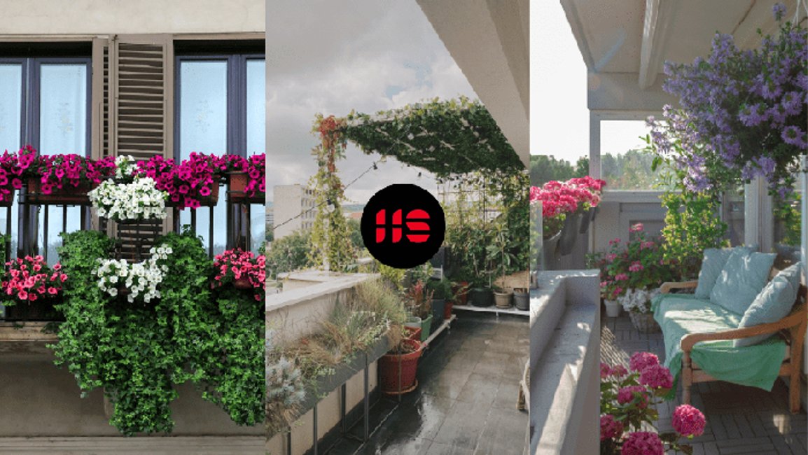 Co pěstovat na terase: Ideální rostliny do květináče