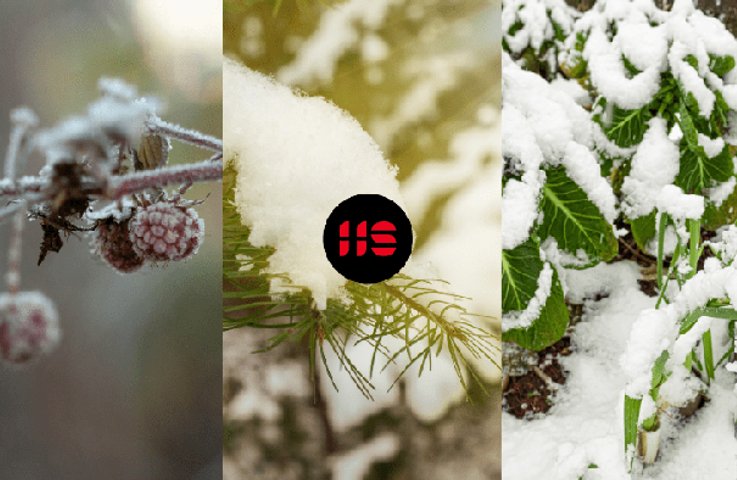 Jak zazimovat zahradu