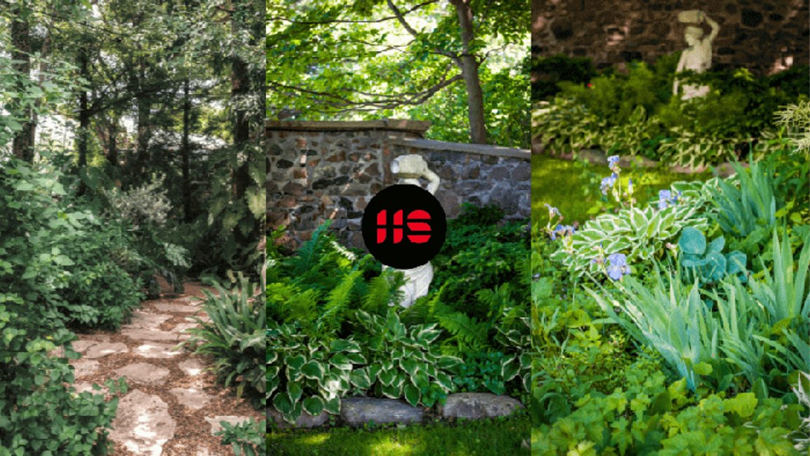 Jaké rostliny zasadit do stínu?