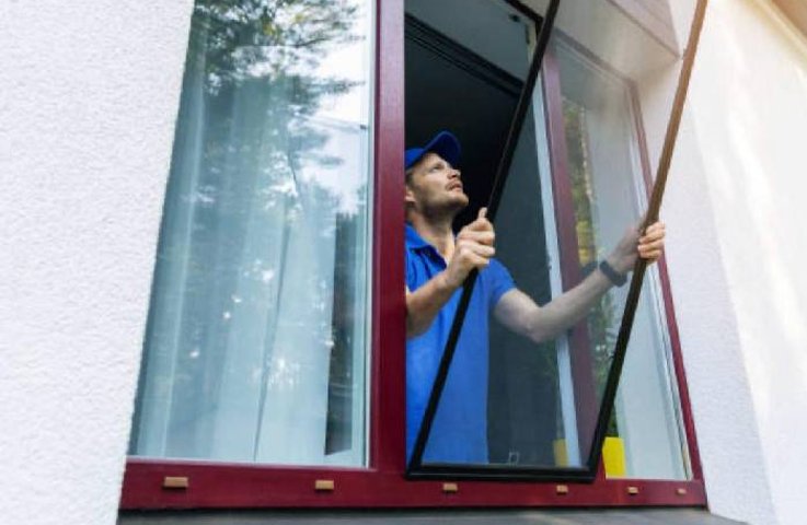 Sítě proti hmyzu: Neviditelná ochrana vašich oken a dveří